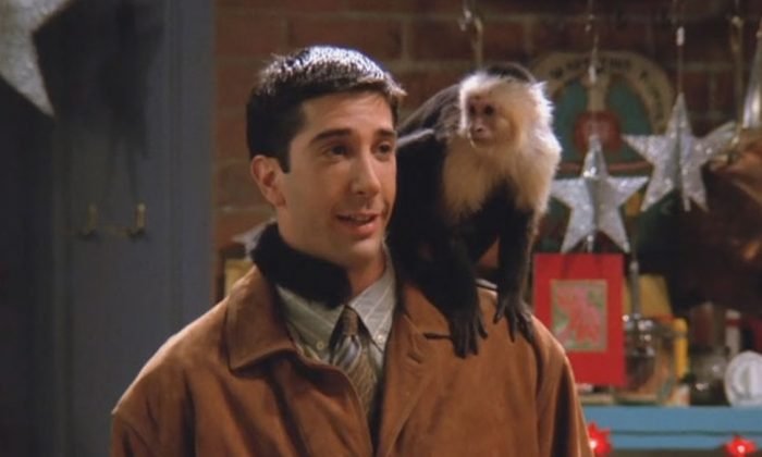 peli o manta. musica friends. Ross Marcel