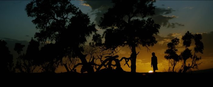 Peli o Manta. You go to my head. Desert