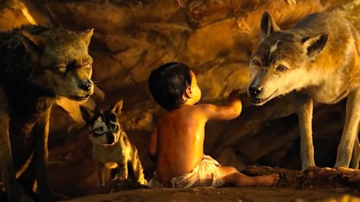 peli o manta. mowgli. manada