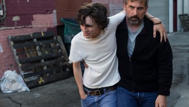 Peli o manta. Beautiful boy. Steve Carell Timothee Chalamet