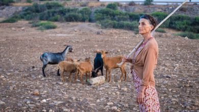Peli o Manta. Lalla Aïcha. Imagen destacada
