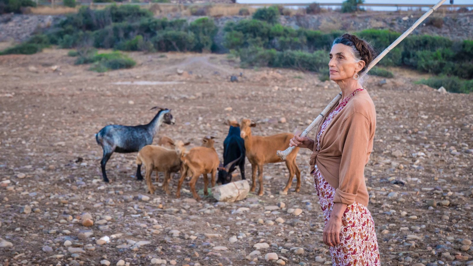 Peli o Manta. Lalla Aïcha. Imagen destacada