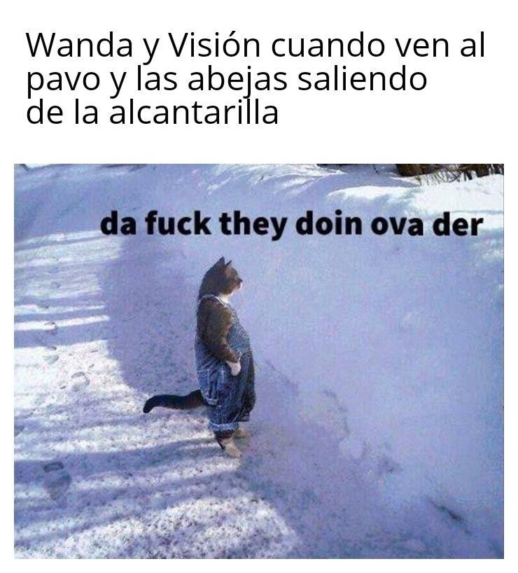 Memes WandaVision. Peli o Manta. El de las abejas