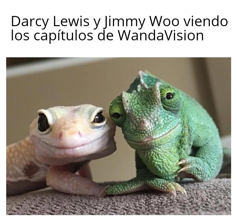Peli o manta. Análisis WandaVision capítulo 4. Meme 1