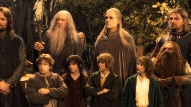 Peli o manta. El Señor de los Anillos