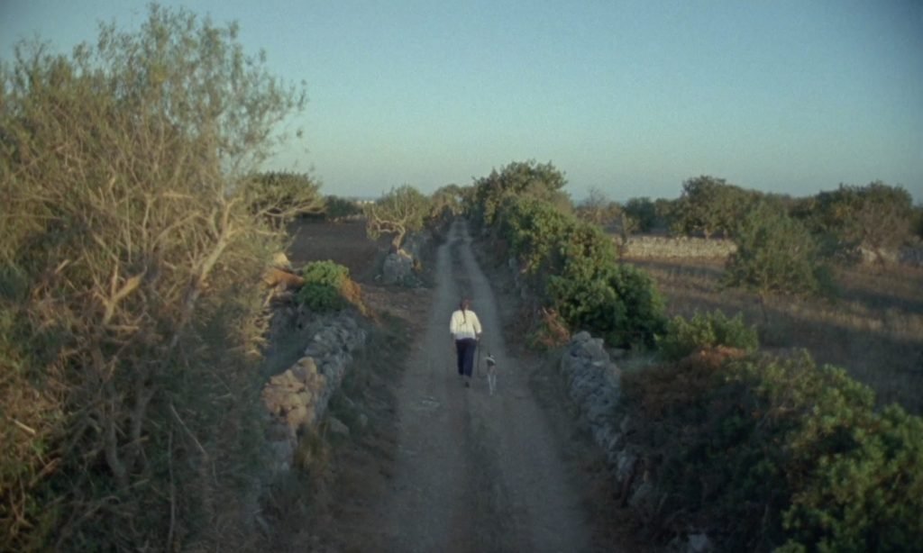 Peli o Manta - Atlàntida Mallorca Film Fest - The designer