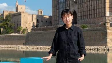 Peli o Manta - Celine - Portada